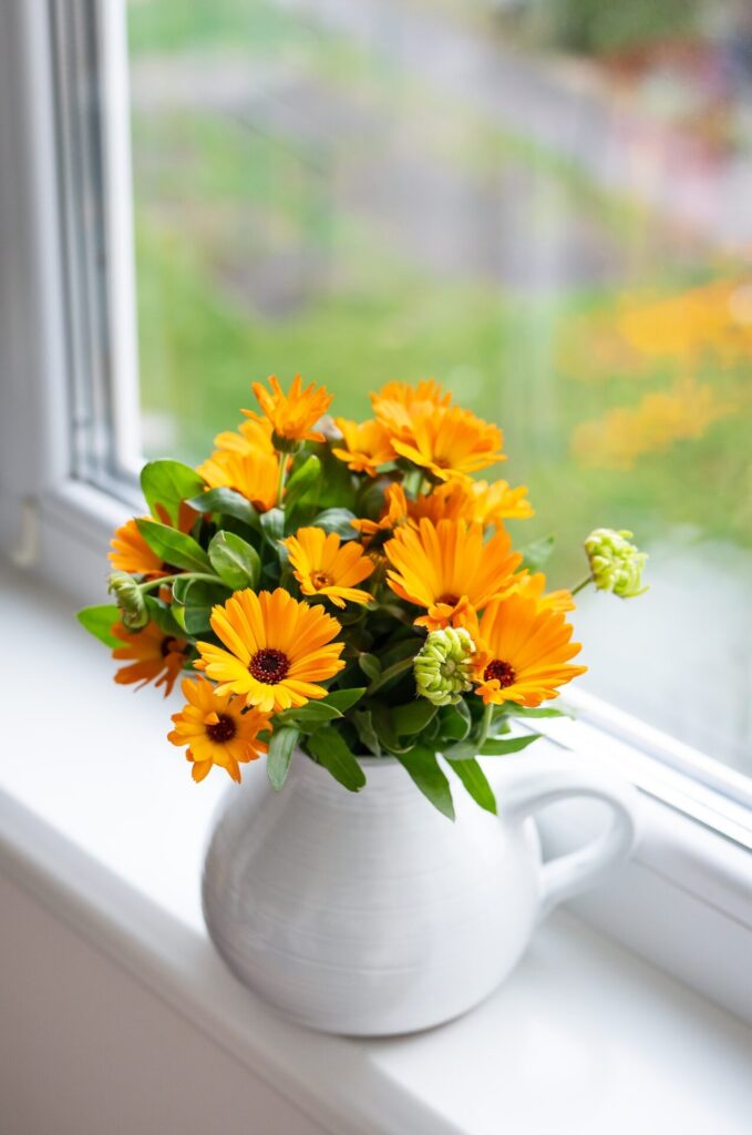 A bouquet of bright calendula in a milk vase stands on the windowsill, bright autumn with a window.